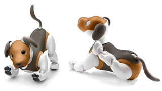 Sony Gives Aibo a New Paint Job and Plans to Teach It Some Home Security Tricks